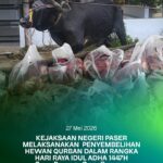 Kejaksaan Negeri Paser melaksanakan kegiatan penyembelihan hewan qurban dalam rangka memperingati Hari Raya Idul Adha 1447 Hijriah