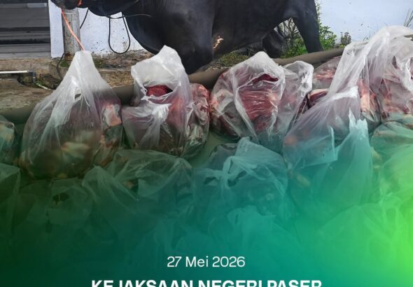 Kejaksaan Negeri Paser melaksanakan kegiatan penyembelihan hewan qurban dalam rangka memperingati Hari Raya Idul Adha 1447 Hijriah